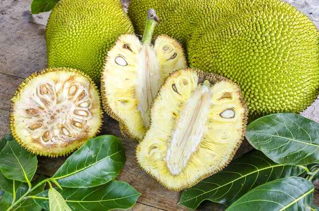 Various Benefits of Jackfruit You Can Get