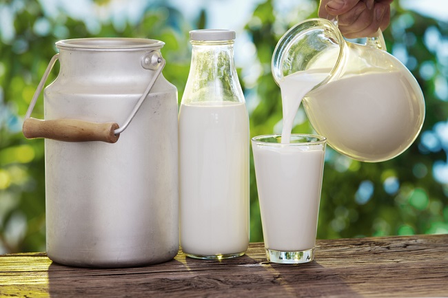 Pasteuriseret mælk vs frisk mælk, her er fakta!