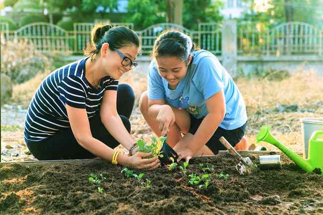 Fordelene ved havearbejde og pleje af planter for sundheden