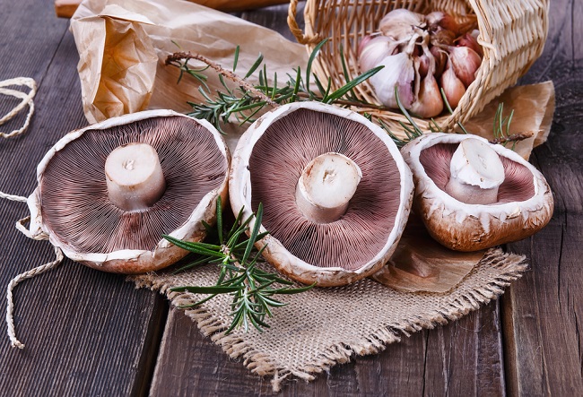 8 предности портобело печурака за здравље