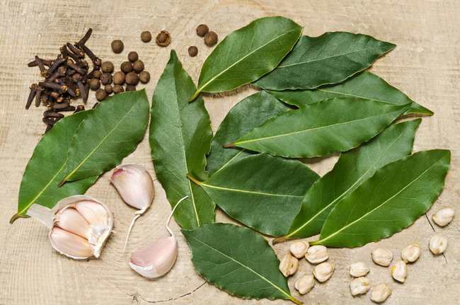 There are various benefits of bay leaves for health, not just a culinary delicacy