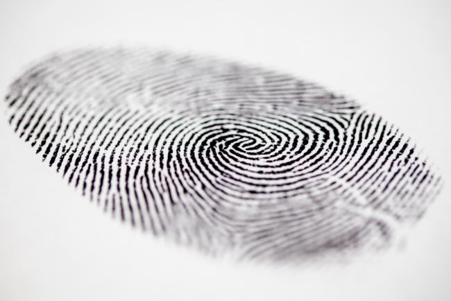 Ang Papel ng DNA Fingerprints sa Paghahanap ng mga Pamilya at Kriminal
