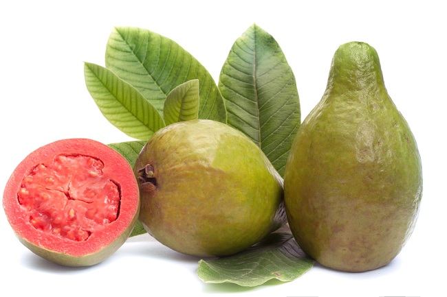 Využijte výhody listů guavy, nejen ovoce