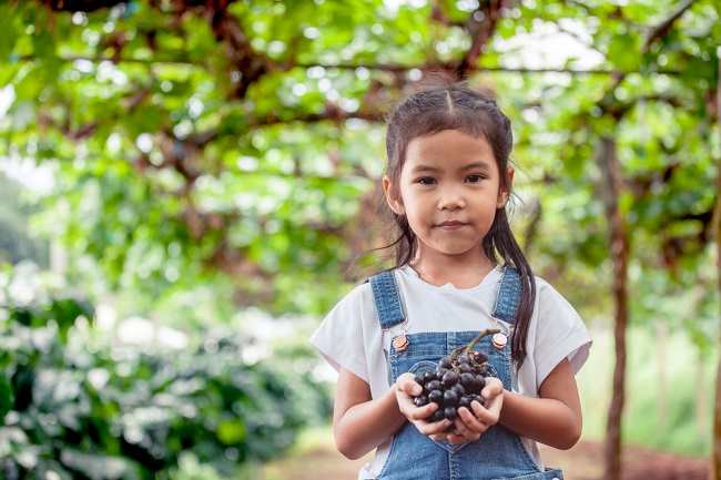 6 fordele ved druer for børns sundhed