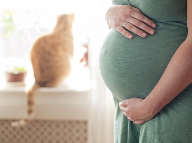Er det trygt å holde katt mens du er gravid?