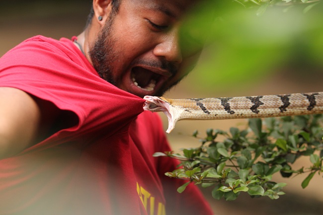 Tungkol sa Opidiophobia, Phobia of Snakes