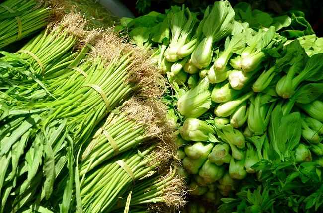 Various Benefits of Green Vegetables for Health