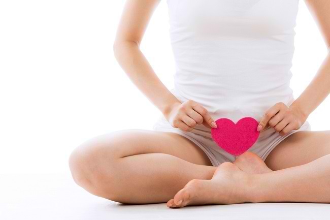 Vulva Function and Diseases That Can Appear