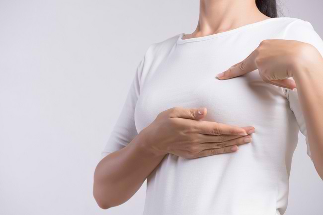 Forståelse af brystkirtlens anatomi